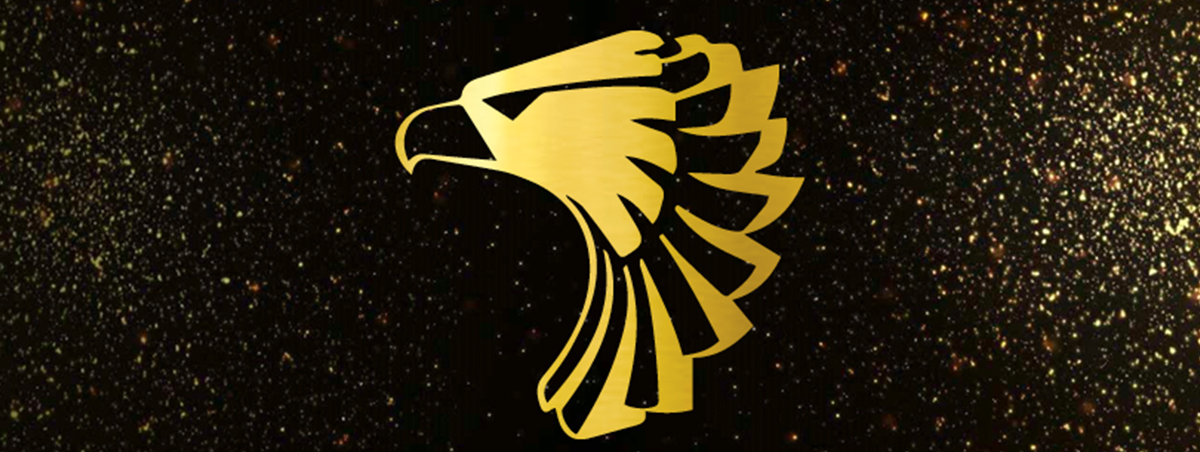 Thunderbirds award logo