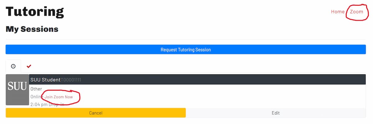 Zoom links on the tutoring queue page