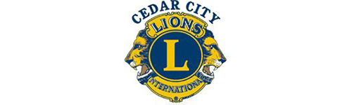 Sponsor Icon Lions