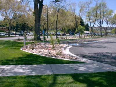 Photo: Xeriscaping