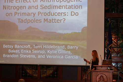 A woman presenting her research onstage.