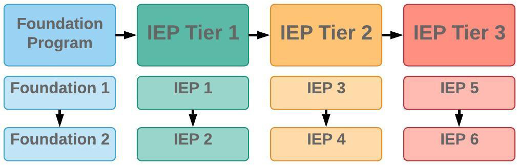 ALCC Foundation and IEP Curriculum