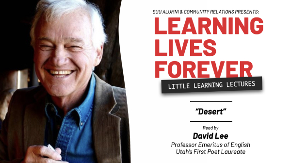 Little Learning Lectures David Lee
