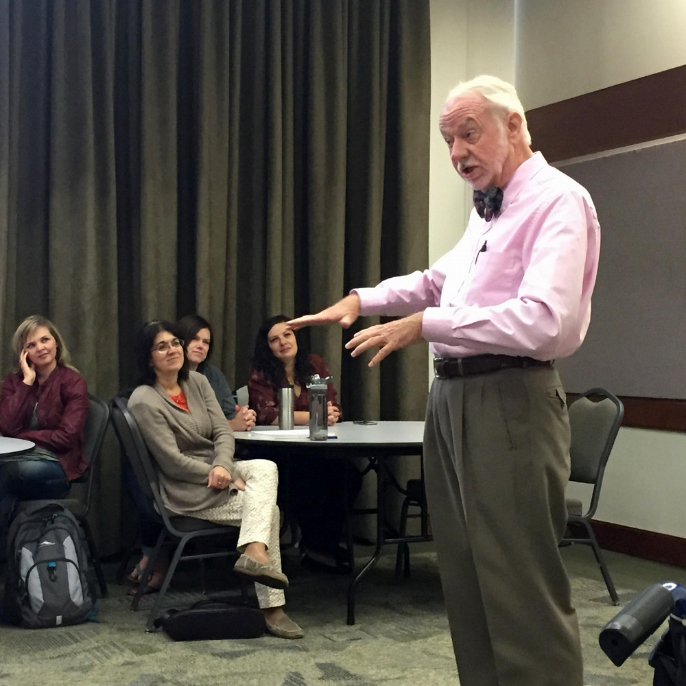 Storyteller presenting to group of educators