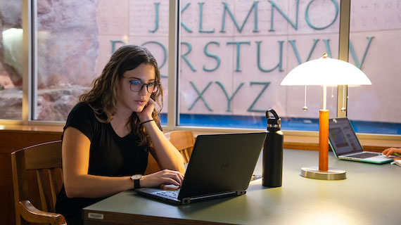 student studying inside library