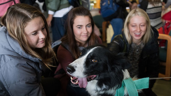 Students with service dog