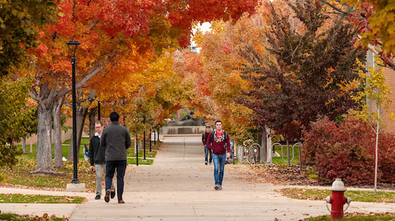 Students walking around campus