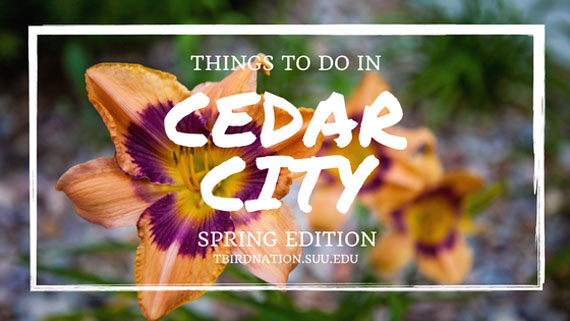 Things to do in Cedar City in spring poster