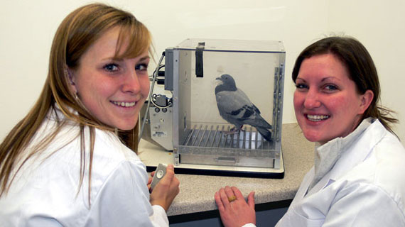 Psychology students with bird in cage