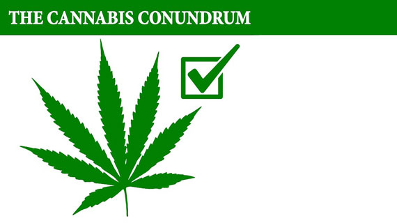 Cannabis Conundrum poster, cannabis leaf with a checkmark