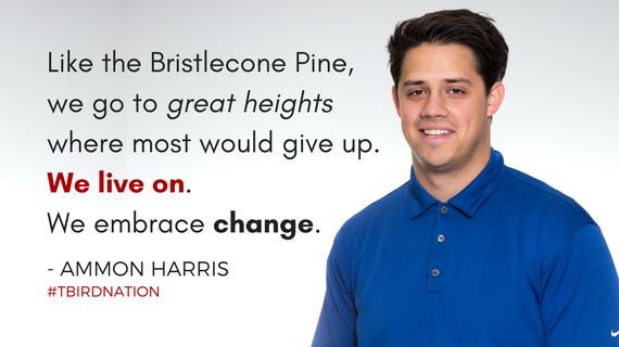 "Like the Bristlecone Pine, we go to great heights where most would give up. We Live on. We embrace change" - Ammon Harris