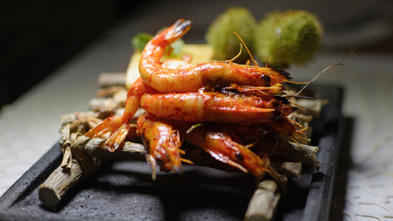 Shrimps on a piece of wood