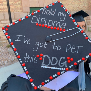 hold my diploma i've got to pet this dog