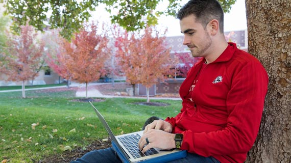 How do online college programs work?