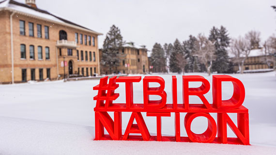 Snowy SUU campus with T-Bird Nation letters