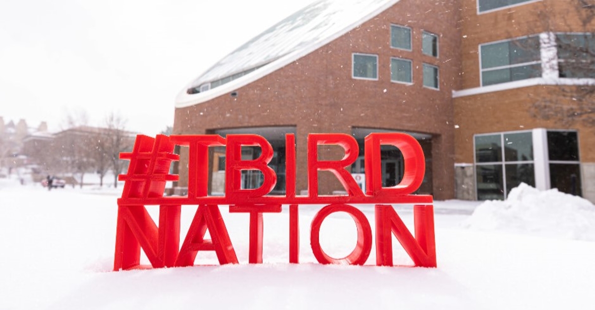 T-Bird Nation sign in the snow