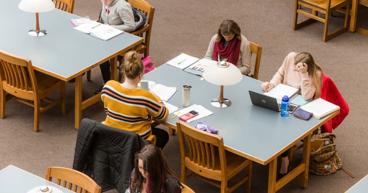 A group of students study in the library. 