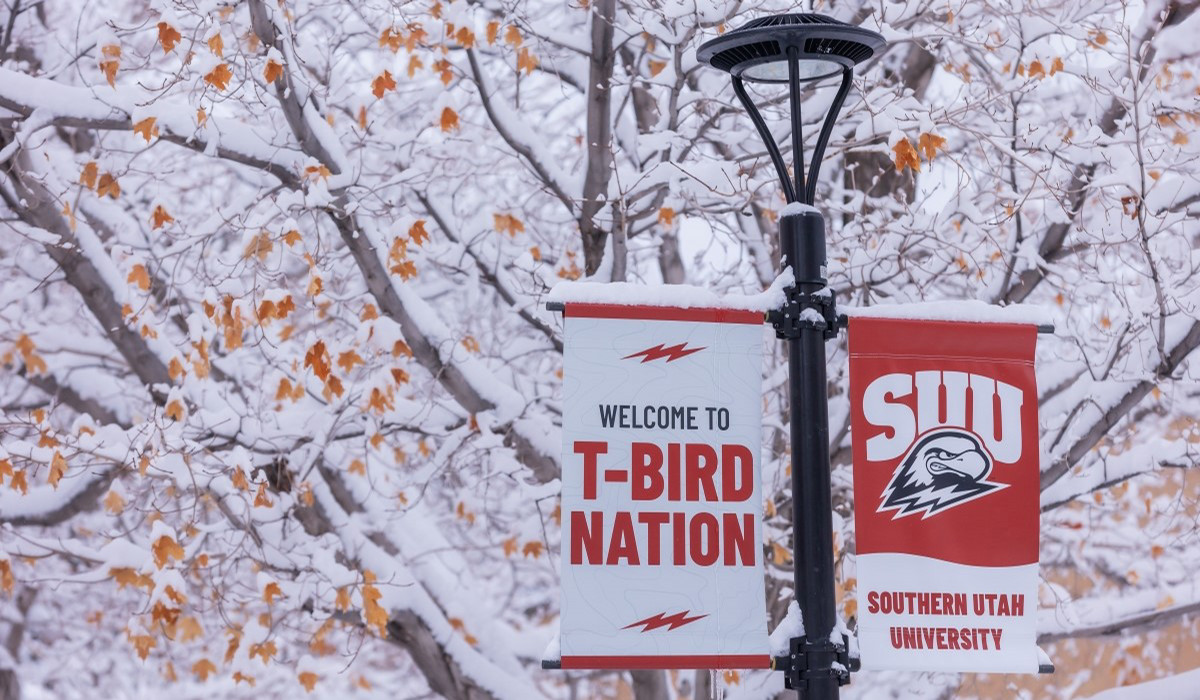 SUU banners hanging from a light pole