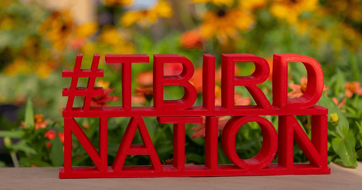 3D printed #T-Bird Nation logo