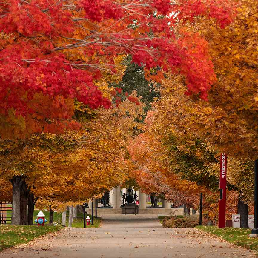 fall campus SUU