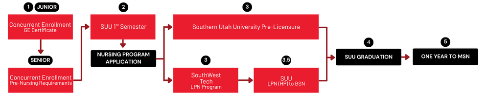 Flowchart showing the nursing pathway from high school to MSN. The specific steps and program options are detailed in the following sections.