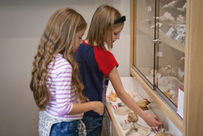 Middle school aged girls looking at a collection in the Frehner Museum