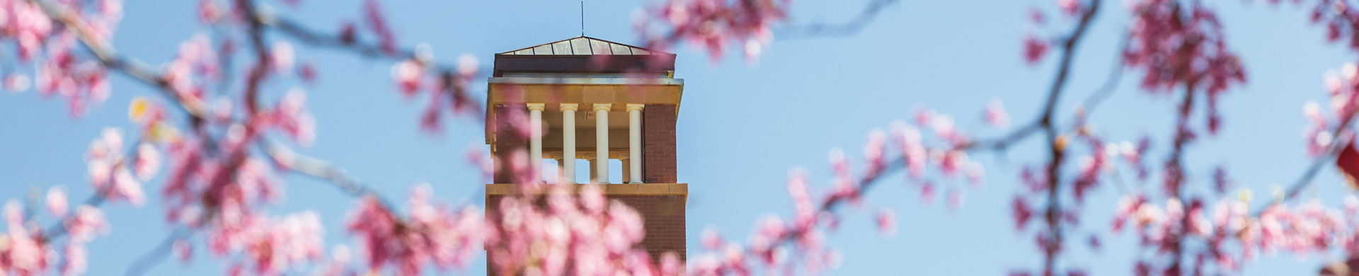 Pink Blossoms and Clock Tower at SUU