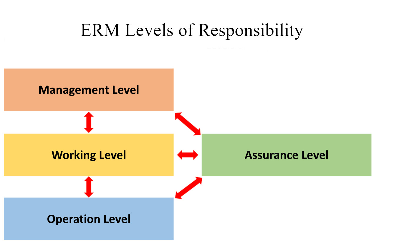Flowchart: management, working, and operation level all connect to assurance level. Eache of those levels reports up to senior management level.