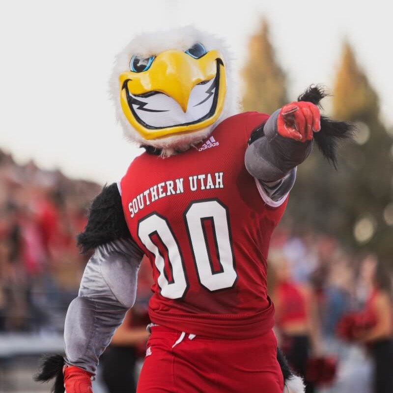 T-Bird Promise Scholarship
