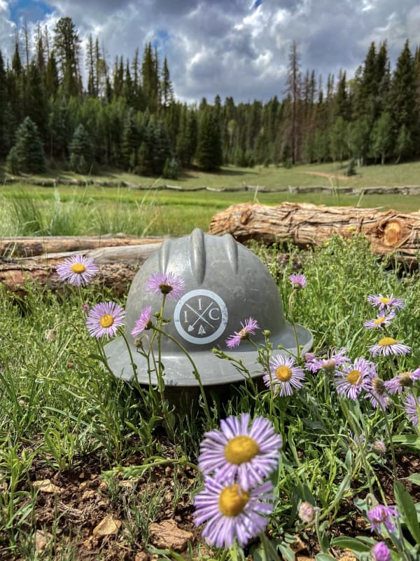 IIC Helmet among wildflowers 7