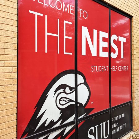 The Nest 