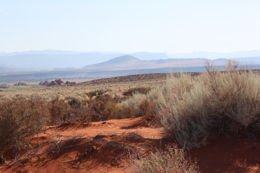 View of a section of the property included in the proposed Sand Hollow land exchange