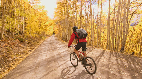 student biking university of the parks yellow aspen trees fall autumn