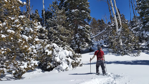 Student cross country skiing in Southern Utah