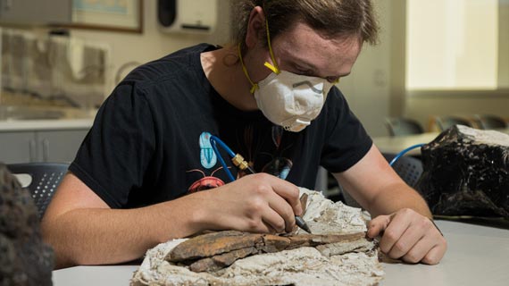Jonathan Ginouves prepares tyrannosaur fossil