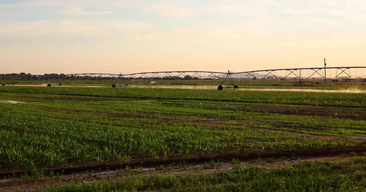 Farming field with irrigation in process.