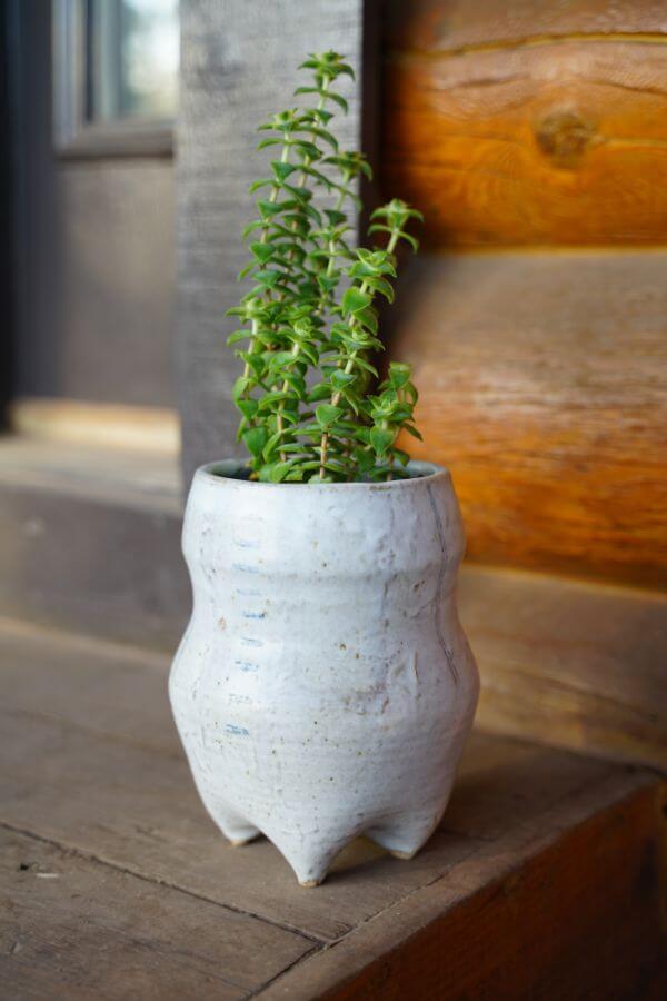 Ceramic Vase by Lacey Prisbrey