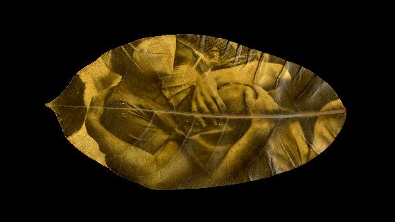Rheana Gardner. In The World's Broad Field of Battle, 2021. Chlorophyll print. Image of two masked healthcare workers embracing printed on a yellow leaf with a black bacground.
