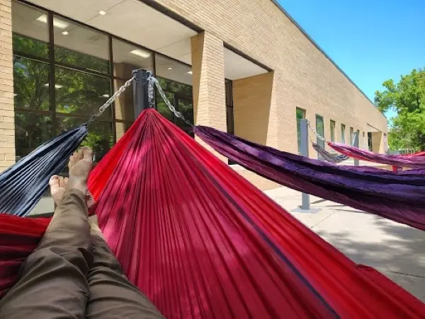 Someone laying in a hammock