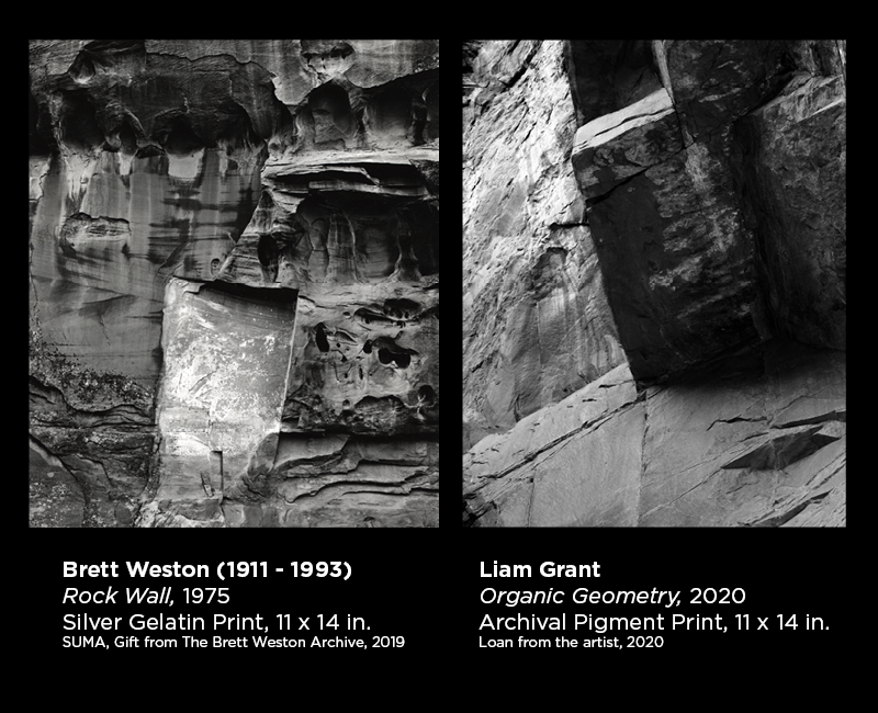 Weston and Grant photography 2