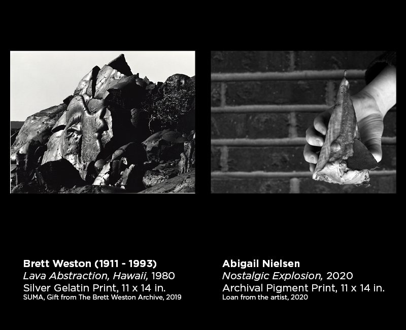 Weston and Neilson photography 4