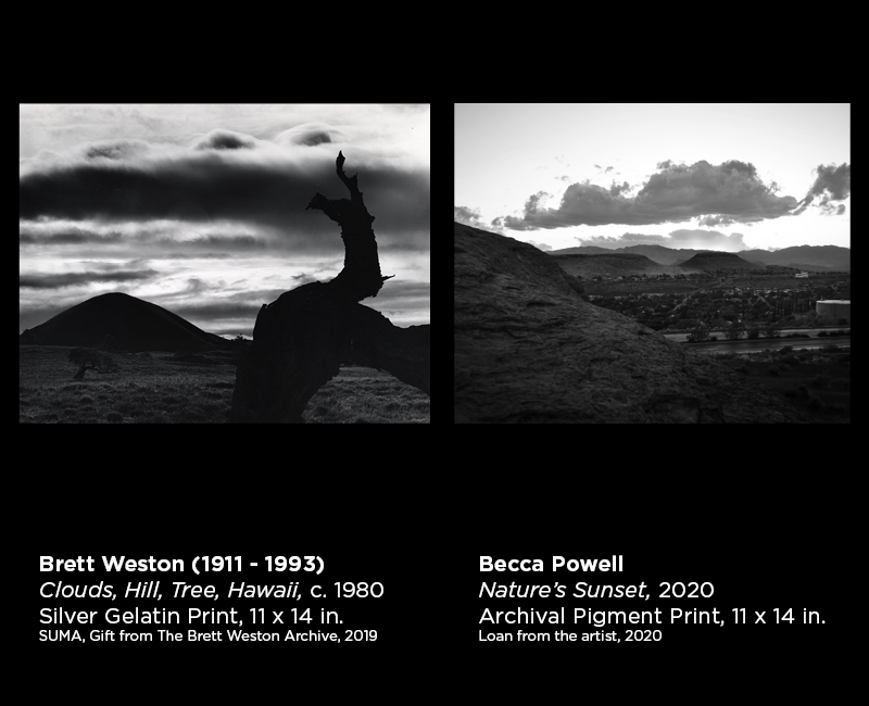 Weston and Powell photography 5