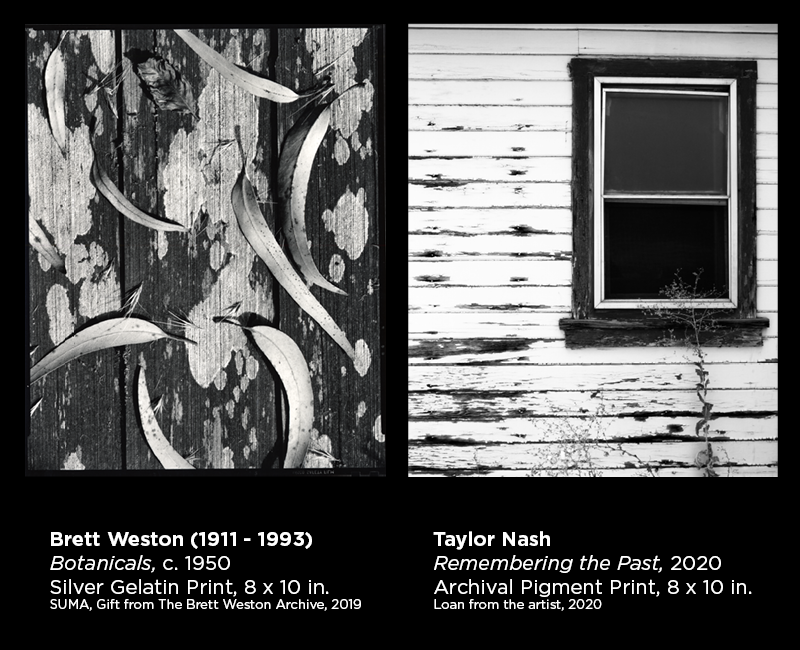 Weston and Nash photography 6