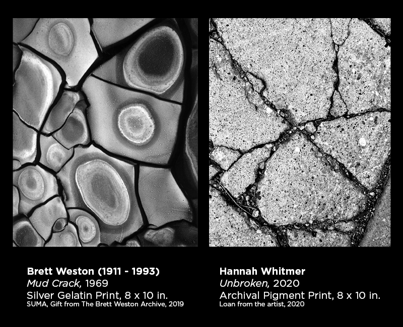 Weston and Whitmer photography 7