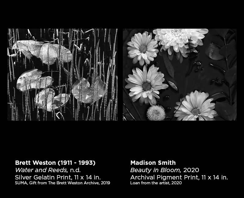 Weston and Smith photography 10