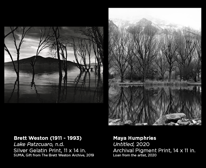 Weston and Humphries photography 12