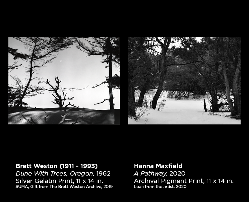 Weston and Maxfield photography 15