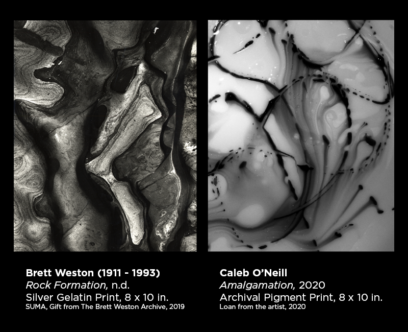 Weston and O,Neill photography 16