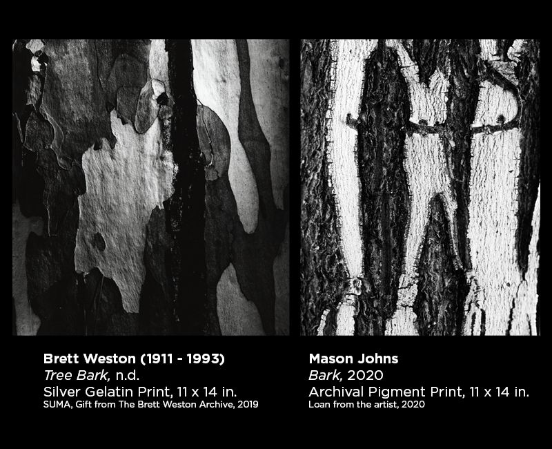 Weston and Johns photography 20