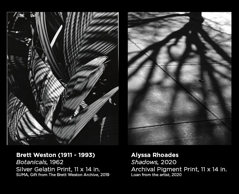 Weston and Rhoades photography 21